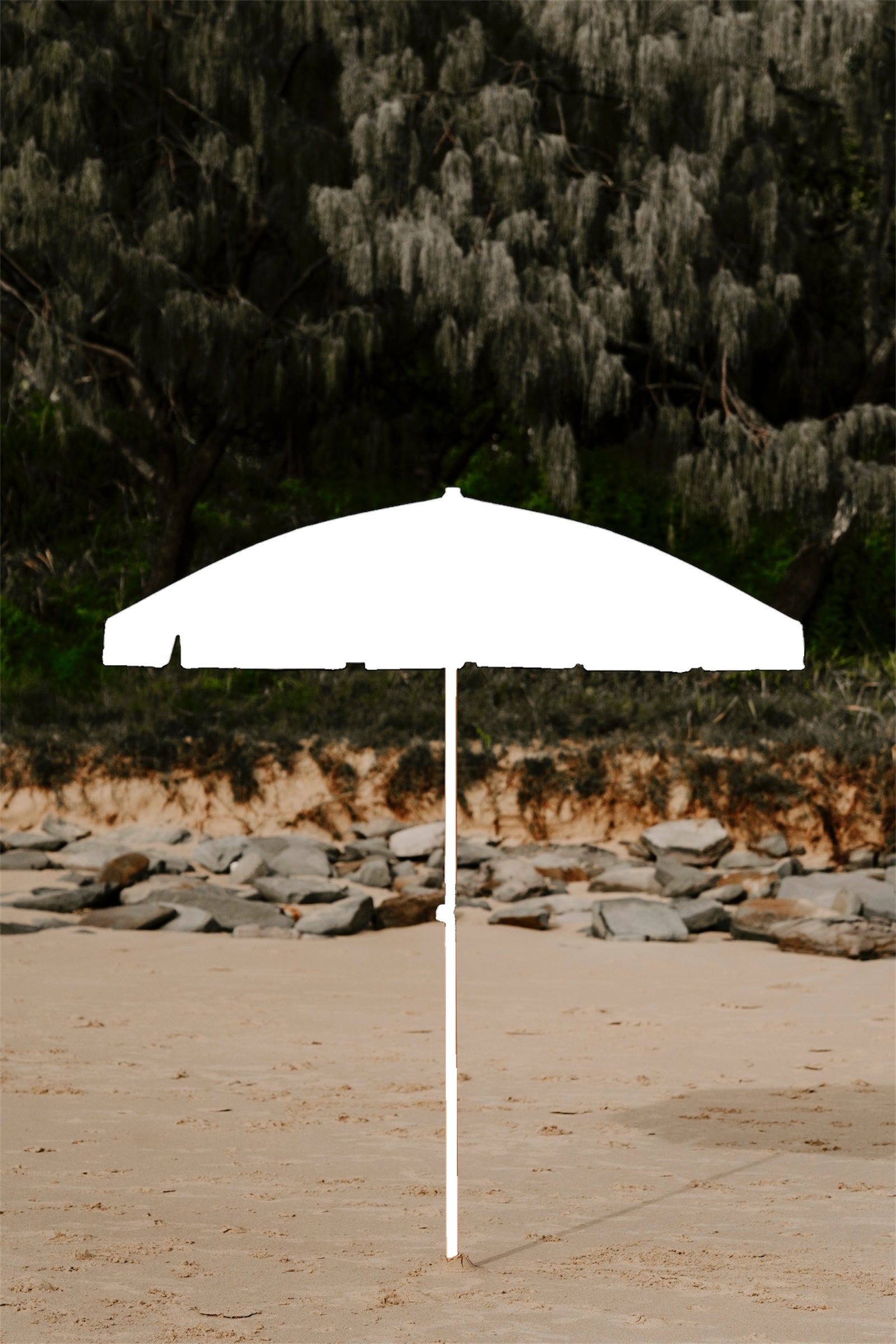 Custom Umbrella